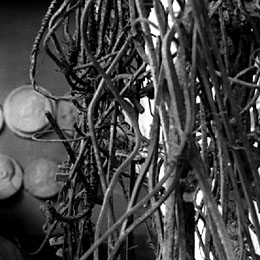 The support The support